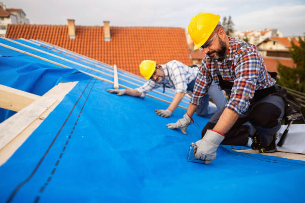 Best Roof Gutter Cleaning  in Llender, CA